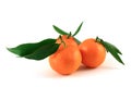 Three mandarin Royalty Free Stock Photo