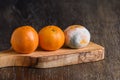 Three mandarin oranges on a wooden cutting board, one fresh, one going bad, and one very moldy