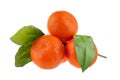 Three mandarins on one branch with green leaves on a white background isolated closeup Royalty Free Stock Photo