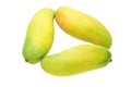 Three mangoes Royalty Free Stock Photo