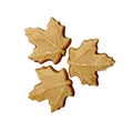 Three maple sugar candies Royalty Free Stock Photo