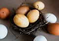 Three marble blue Easter eggs painted by hibiscus, in a nest on a wooden background close-up. The Symbol Of Easter Royalty Free Stock Photo