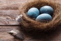 Three marble blue Easter eggs painted by hibiscus, in a nest on a wooden background close-up. The Symbol Of Easter Royalty Free Stock Photo