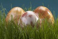 Three marble eggs