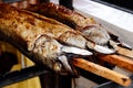 Three marinated grilled mackerels on wooden skewers.