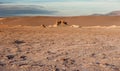 The Three Mary Las tres marias  in sunrise at Valle de la Luna Moon Valley, San Pedro de Atacama Chile. Wide view of stunning su Royalty Free Stock Photo