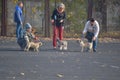 Three mature women and their pets prepare to perform at a dog sh