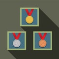 Three Medal In Picture Frame