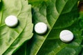 Three medical tablets lined in a row on the green leaves of the plant, homeopathic medicines