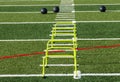 Three medicine balls with six mini hurdles