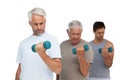Three men exercising with dumbbells in row Royalty Free Stock Photo