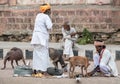 Three men feeding dogs