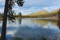 Three men fly fishing in Sprague Lake in the Rocky Mountain National Park, Colorado Royalty Free Stock Photo