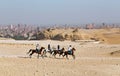 Three men and one woman ride horses to the Pyramids Royalty Free Stock Photo