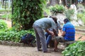 Three men play cards in park of Sao Paolo Royalty Free Stock Photo