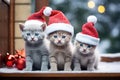 Three merry kittens in Christmas hats, gather on decorated porch during winter