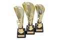 Three metal award cups of different height of gold color