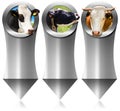 Three Metal Banners with Head of Cow Royalty Free Stock Photo