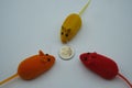 Three mice around a two euro coin Royalty Free Stock Photo