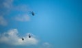 Military Helicopters soaring in the blue sky Royalty Free Stock Photo