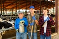 Three milk farm workers in cowhouse Royalty Free Stock Photo