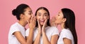 Three Millennial Girls Sharing Secrets Standing Over Pink Background, Panorama Royalty Free Stock Photo