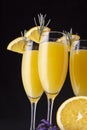 Three mimosa cocktails in champagne glasses Royalty Free Stock Photo