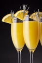 Three mimosa cocktails in champagne glasses Royalty Free Stock Photo