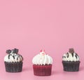 Three mini chocolate cupcake muffins on pink Royalty Free Stock Photo