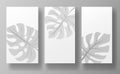 Three minimalist posters featuring gray monstera leaf designs on a white background with a subtle gray backdrop. Perfect Royalty Free Stock Photo