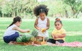 Three mixed race caucasian little cute children kids sitting, playing in outdoor green park for picnic, eating fruit, watermelon Royalty Free Stock Photo