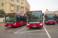 Three modern city buses Iveco at a bus stop, Baku