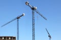 Three modern high-rise crane. Royalty Free Stock Photo