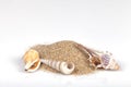 Three mollusk shells with beach sand on white background Royalty Free Stock Photo