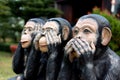 Three monkey,close up of hand small statues with the concept of see no evil, hear no evil and speak no evil. Royalty Free Stock Photo