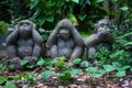 Three monkey statue stand