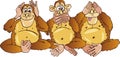 Three monkeys Royalty Free Stock Photo