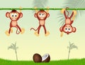 Three monkeys on bamboo