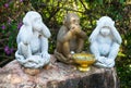 Three Monkeys With Different Faces - No Speak, No See, No Hear a Royalty Free Stock Photo
