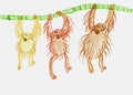 Three monkeys hang on a branch. Children`s drawing