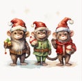 Three monkeys in the hats of Santa Claus in a white background