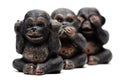Three Monkeys Royalty Free Stock Photo