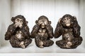The Three Monkeys Sculpture Hear Speak See