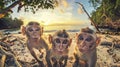 Three monkeys standing on a beach with the sun setting in the background