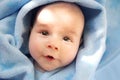 Three month old baby wrapped in blue blanket Royalty Free Stock Photo