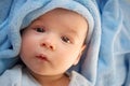 Three month old baby wrapped in blue blanket Royalty Free Stock Photo