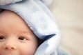 Three month old baby wrapped in blue blanket Royalty Free Stock Photo