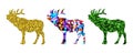 Three moose with different patterns isolated on a white background