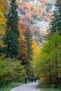 Three mountain bikers riding a through a gorge called Prapastiile Zarnestilor, in Piatra Craiului Mountains Royalty Free Stock Photo