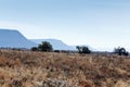 The Three Mountains And Trees - Cradock Landscape Royalty Free Stock Photo